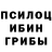 Псилоцибиновые грибы Magic Shrooms Trb_Alone