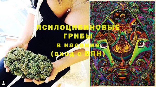 a pvp Богородск