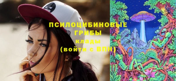 гидропоника Богородицк