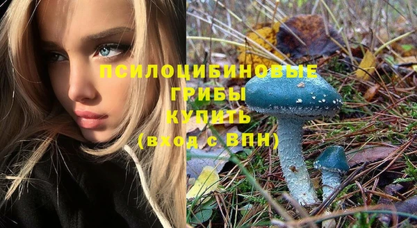 альфа пвп Богданович