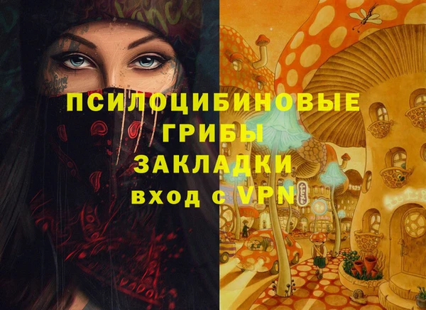 гидропоника Богородицк