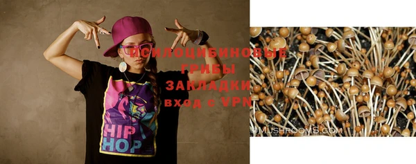 a pvp Богородск