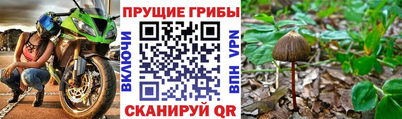 Псилоцибиновые грибы ЛСД  Екатеринбург 